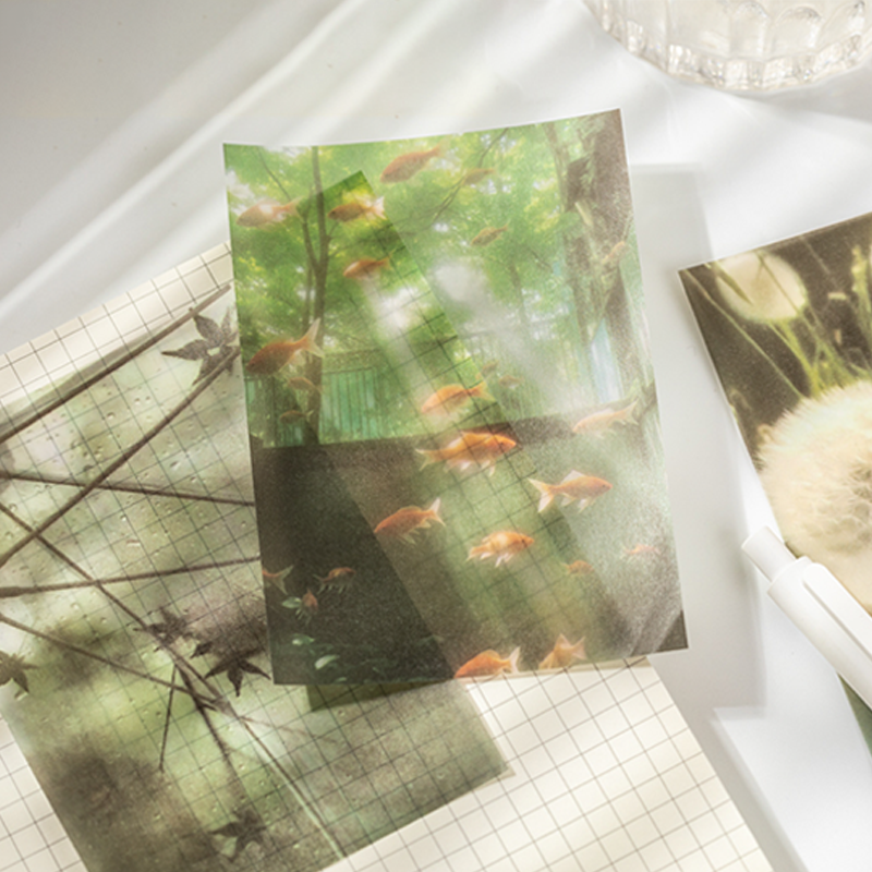 Mr.Paper 20pcs Vintage M5 Summ - Vintage Collectible Books のレビューと価格